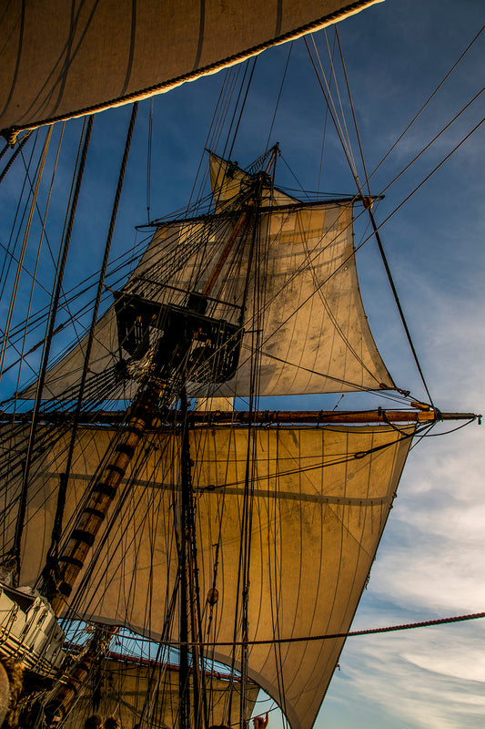 Lumière dorée sur les voiles